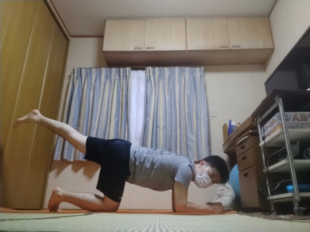 SOELUオンラインヨガで前腕を床につけてプランク姿勢から片足を浮かせ体幹と下半身を鍛えている様子
